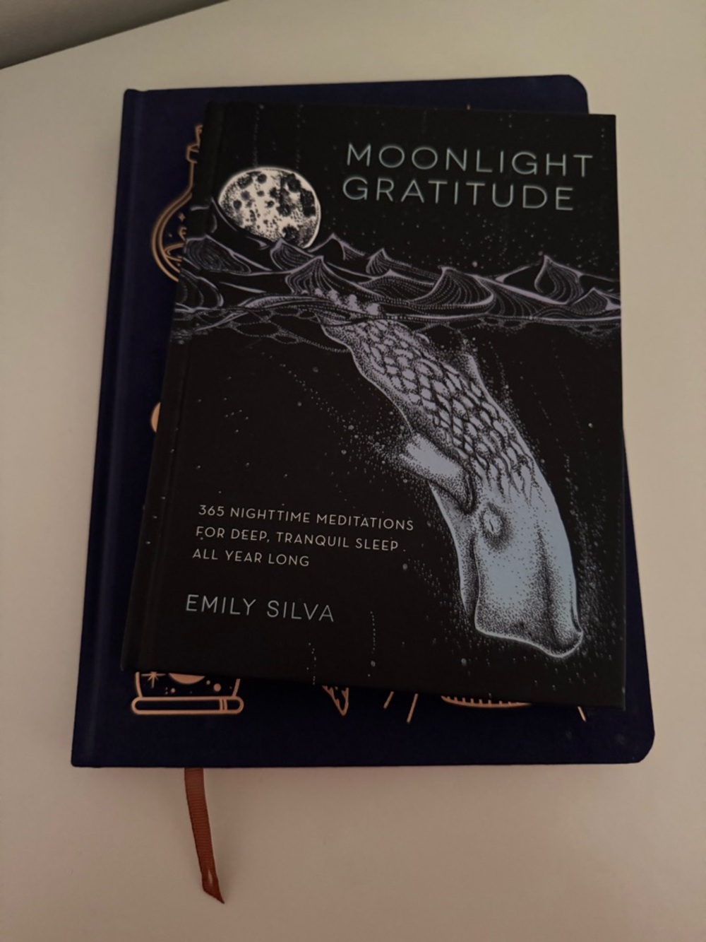 Book Bundle: Moonlight Gratitude by Emily Silva & Blank Journal